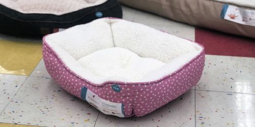 Up to 65% Off Pet Beds at Petco