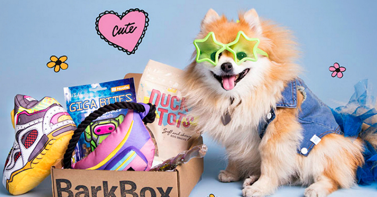 Dog wearing star-shaped glasses sitting next to a Retro bark box