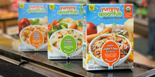 50% Off Yummy Spoonfuls Organic Frozen Kids Meals After Cash Back at Walmart