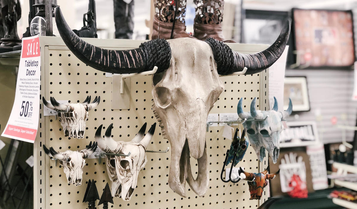 hobby lobby outdoor theme cow skull