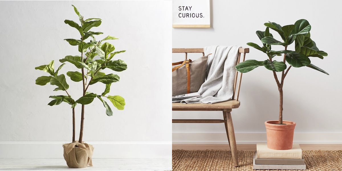 pottery barn and target copycat items – faux fiddle leaf trees