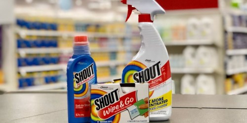 Shout Stain Remover Only 59¢ After Target Gift Card (No Coupons Needed)