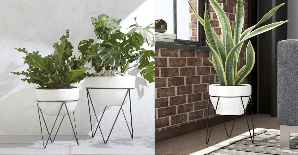 west elm copycat for less money – standing mid century modern planters comparisons side by side