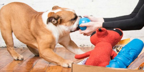 First BarkBox ONLY $5 Shipped (Filled w/ Dog Toys, All-Natural Treats & More)