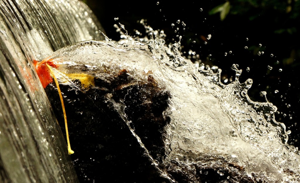 water gushing from sprinkler