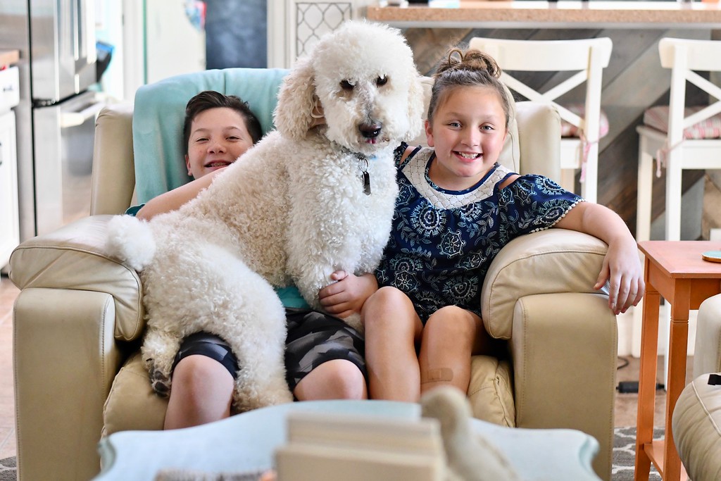 Lina's standard poodle Chewy sitting on her kids' laps