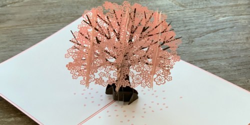 Lovepop 3D Cherry Blossom Pop Up Card Just $13 on Amazon (Highly Rated)