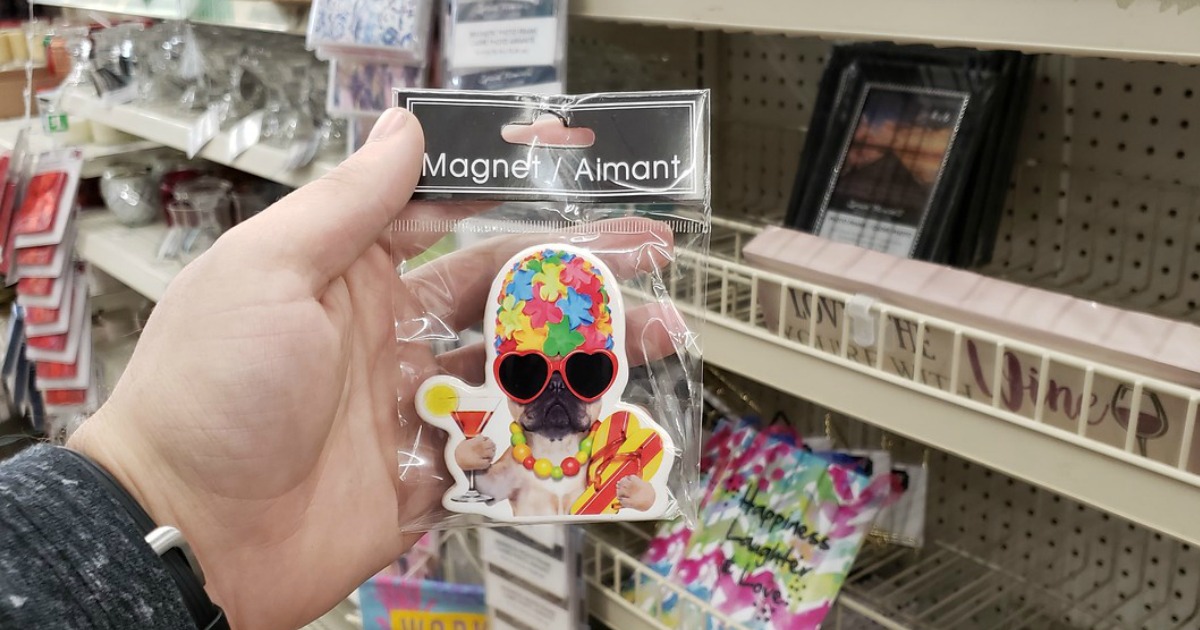 Dollar Tree Magnets 