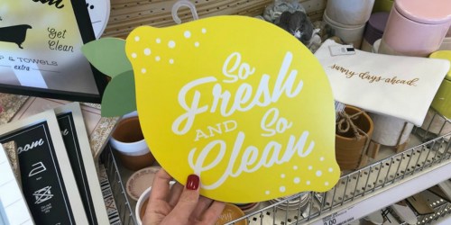 Home Decor Items Only $3 at Target & More