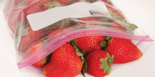 Amazon Brand Solimo Food Storage Bags 150-Count Just $7.87 Shipped