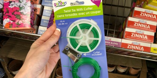 Handy Gardening Tools Only $1 at Dollar Tree