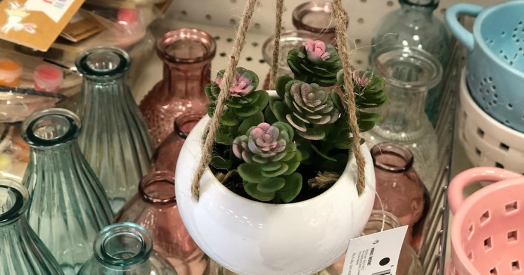 hanging succulent with vases and other items at Target