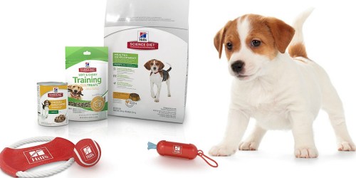 Amazon: Hill’s Science Diet Puppy Food, Treats & Toys Bundle Only $8.99 (Regularly $25)