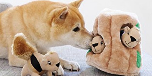 Outward Hound Hide-A-Squirrel Dog Toy Only $6 at Amazon + More