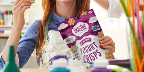 Amazon: Imag!ne Snacks Sampler Variety 4-Pack Only $10.28 Shipped (Just $2.57 Per Bag)