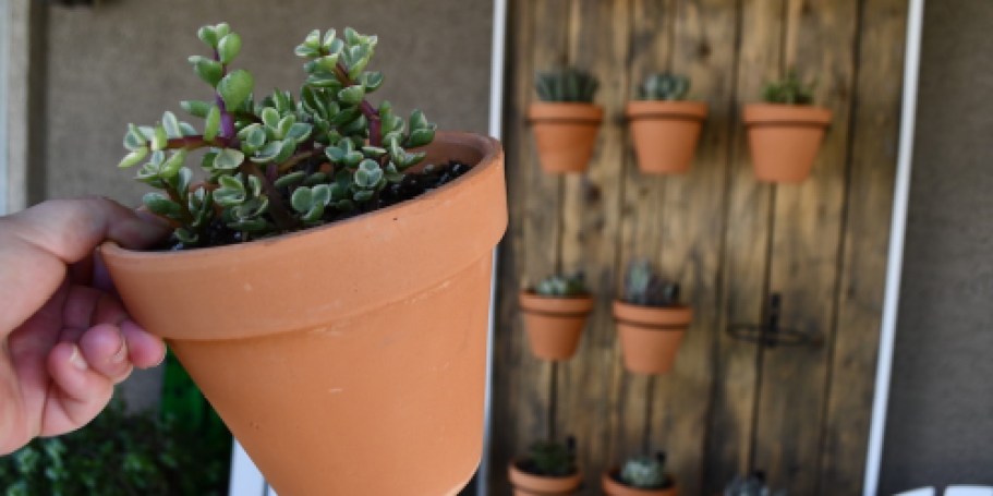 This DIY Succulent Wall Will Instantly Upgrade Your Patio