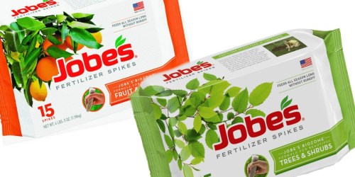 Lowe’s: Jobe’s Fertilizer 15-Count Tree and Shrub Spikes Only $4.99 Shipped (Regularly $10)