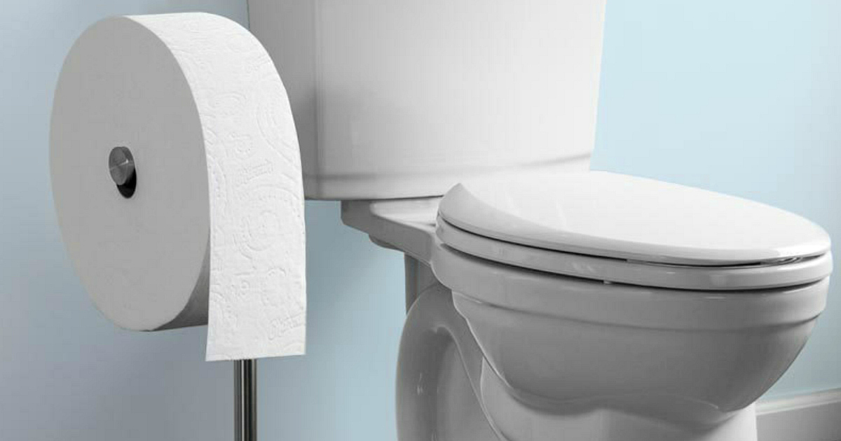 Charmin forever roll toilet paper next to a toilet