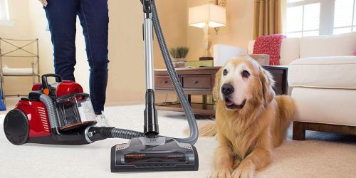 Electrolux UltraFlex Canister Vacuum Only $195.98 Shipped (Regularly $500)