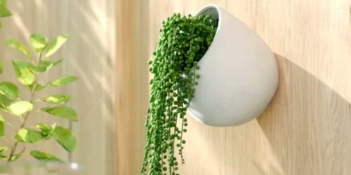 Outdoor Achilles Ceramic Wall Planters Only $6.99 Shipped (Regularly $29) + More Planter Deals