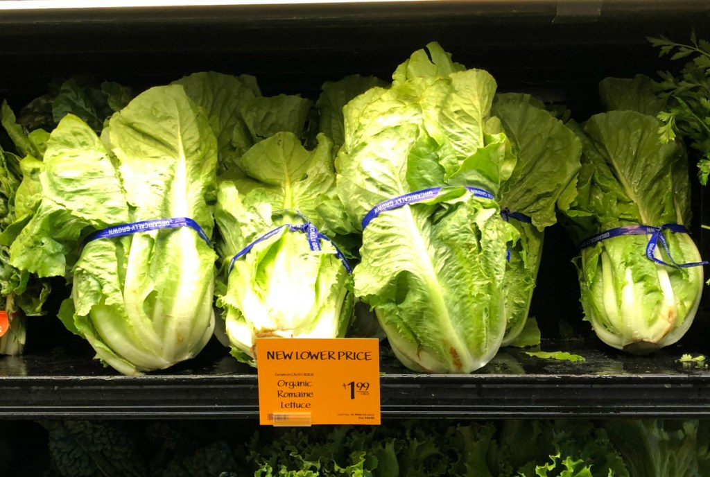 Romaine lettuce at Whole Foods