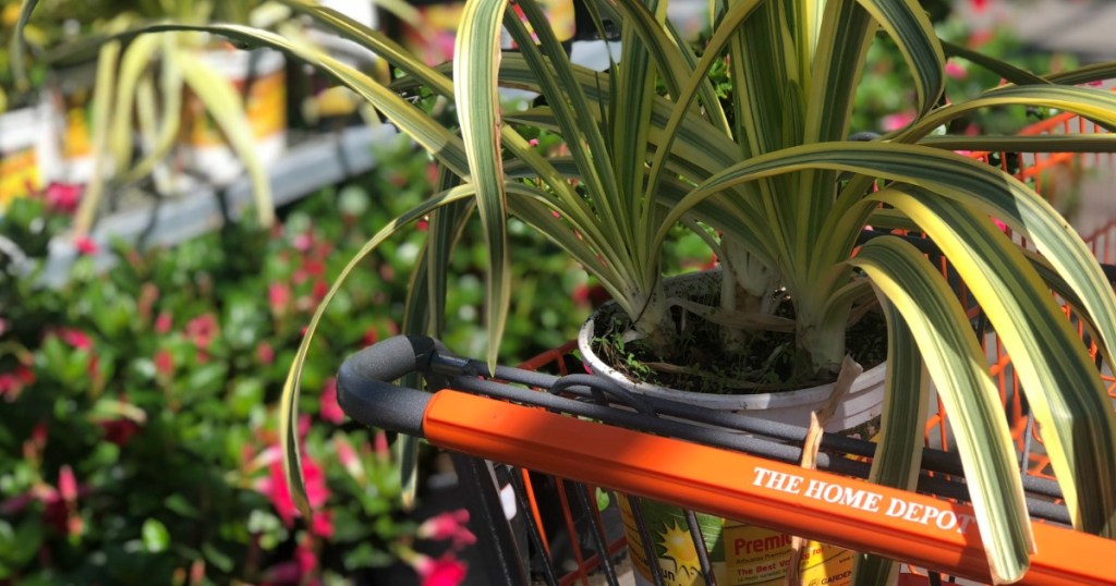 The Home Depot Cart