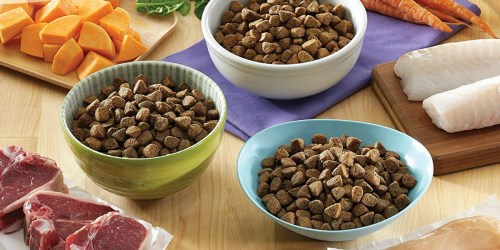 Amazon: Over 50% Off Wellness Complete Health Natural Dry Dog Food + Free Shipping