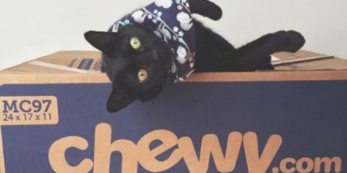 Buy One, Get One FREE True Acre Dog Treats AND Tiny Tiger Cat Food at Chewy.com