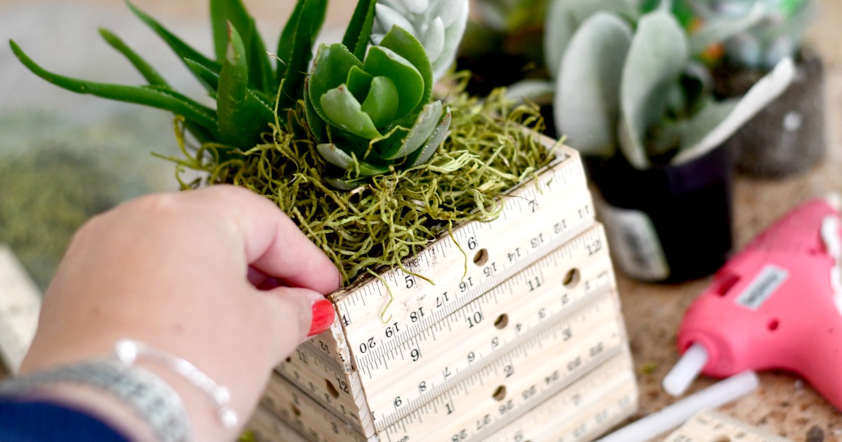 crafting a diy succulent ruler planter as a teacher gift 