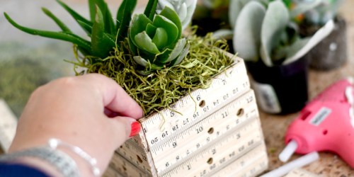 DIY Ruler Succulent Planter (Fun Teacher Appreciation Gift Idea)