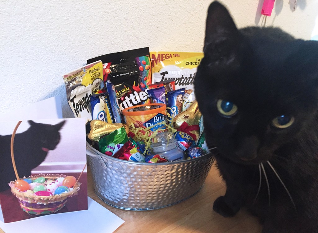 black cat in front of easter basket