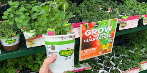 10 of Our Favorite Home Depot Spring Black Friday Deals