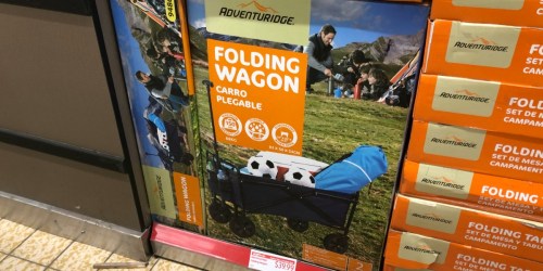 Adventuridge Folding Wagon Only $39.99 at ALDI