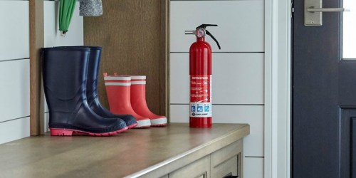 TWO Pack First Alert Rechargeable Home Fire Extinguishers Only $39.99 at Woot!