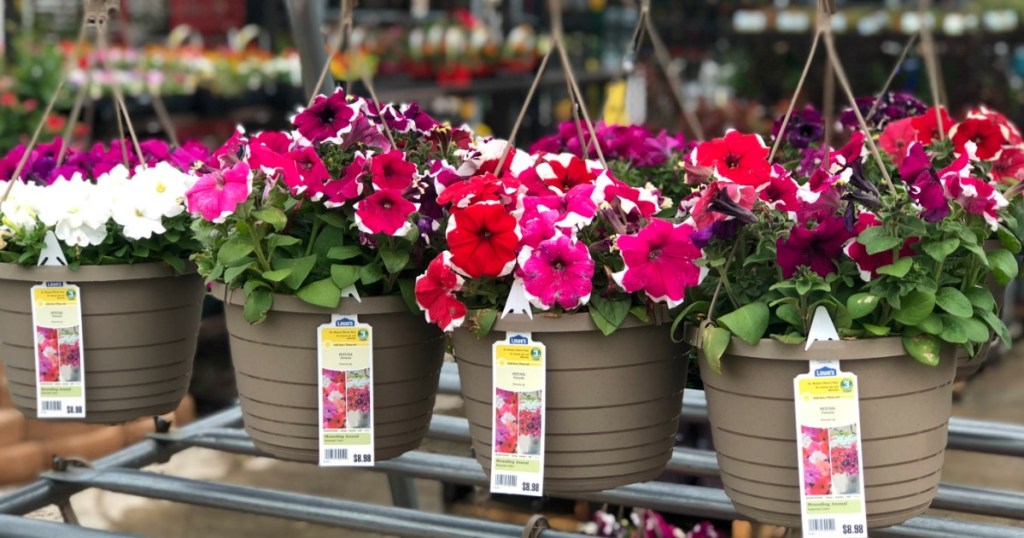 Lowe's Hanging Flower Baskets