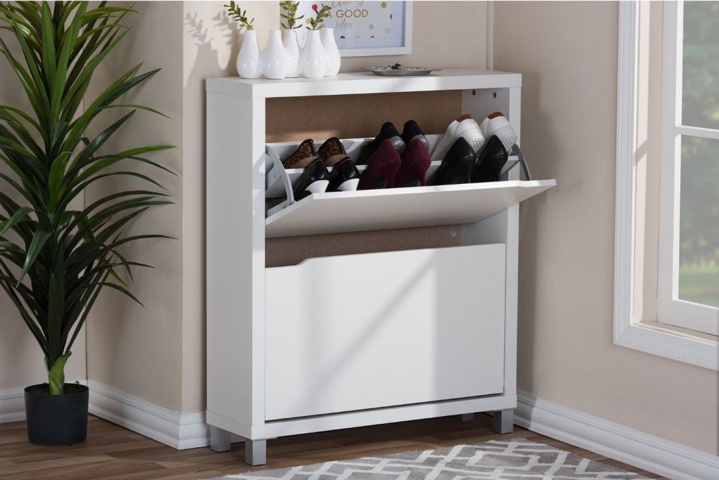 Modern Shoe Storage shelf in entryway