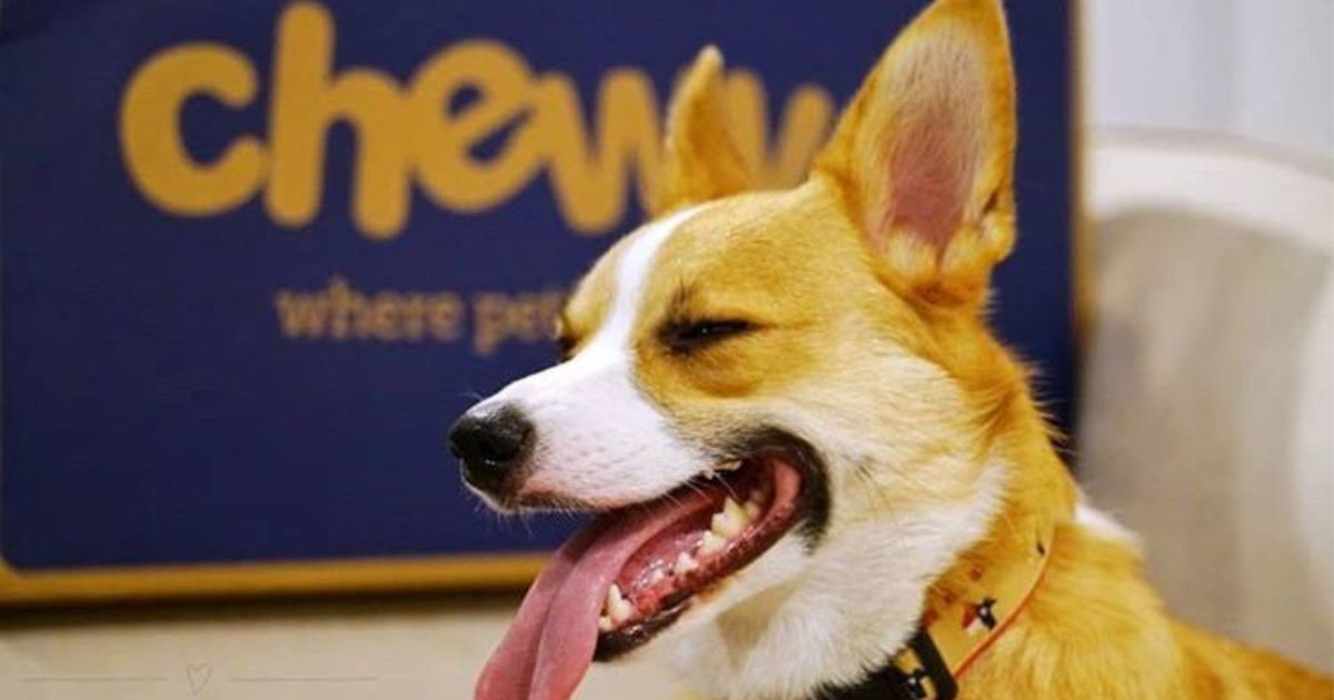 Dog in front of chewy package