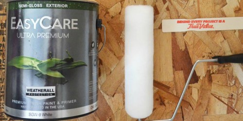 Buy One, Get One FREE Paint at True Value Hardware