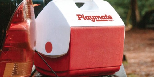 Igloo Playmate Pal Only $10.97 at Amazon (Regularly $22)