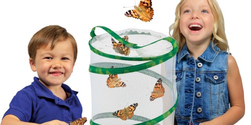 Insect Lore Butterfly Garden w/ LIVE Caterpillars Only $19 at Amazon