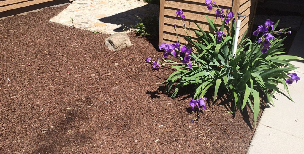 mulch and flower landscaping 