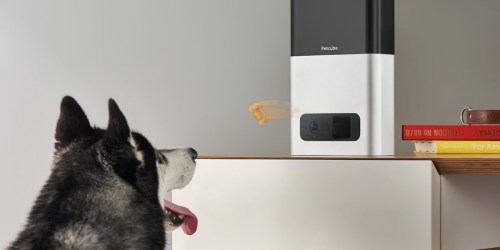 Petcube Bites Camera & Treat Dispenser Only $129 Shipped (Regularly $249)