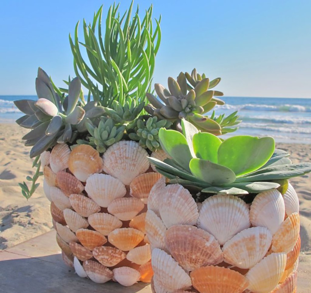 seashell planters from billabong