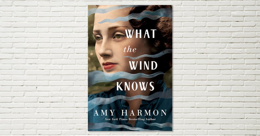 what the wind knows novel cover