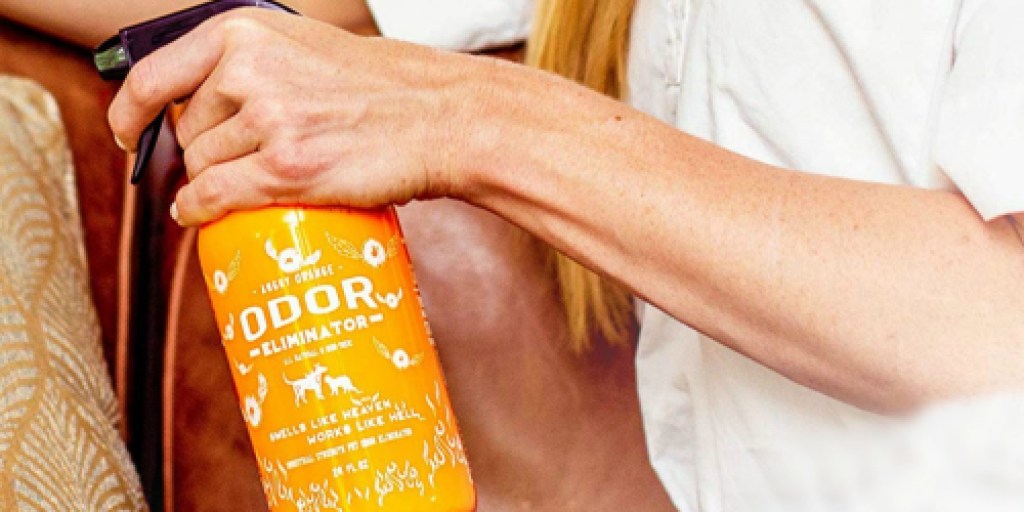This Angry Orange Pet Odor Eliminator Has Awesome Reviews on Amazon