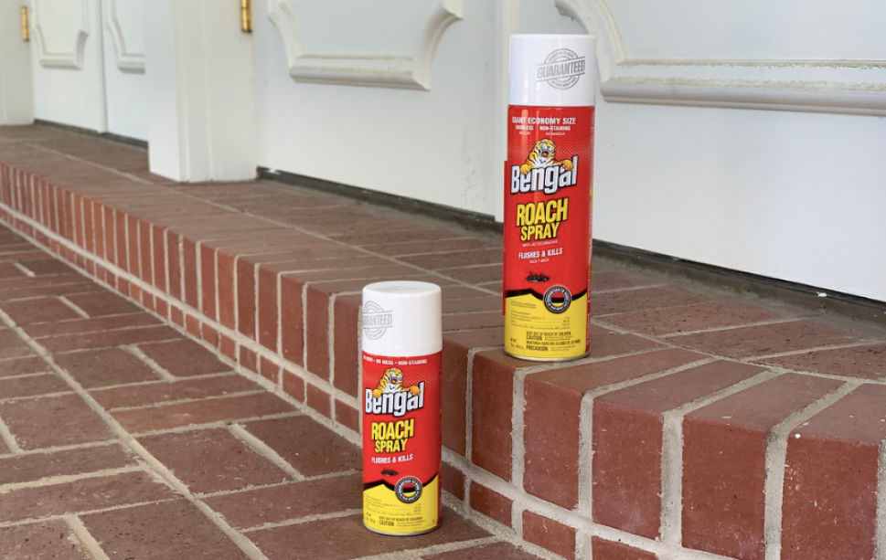 Two cans of Bengal Roach Spray sitting on brick steps