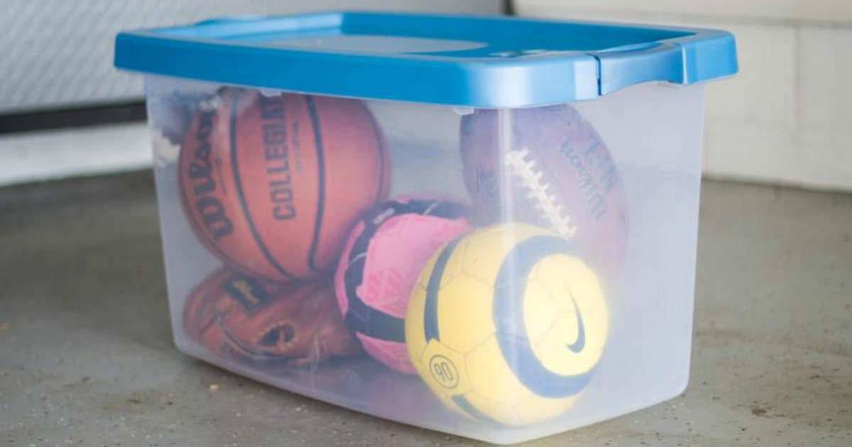 Tote with sports balls