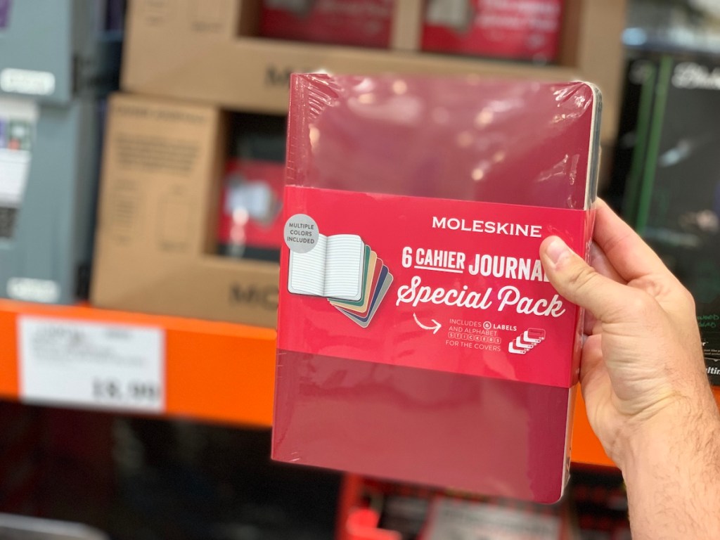 hand holding moleskin journals