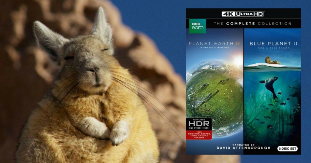 fat rabbit with picture of Planet Earth II Blue Planet II 4k UHD Set