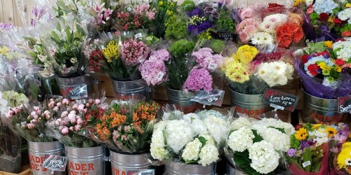 Seasonal Flower Bouquets as Low as $3.99 at Trader Joe’s